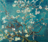 Vincent Van Gogh Turquoise Almond Branches in Bloom, San Remy Art Poster Print