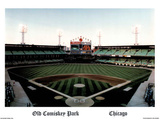 Ira Rosen Chicago White Sox Old Comiskey Park Sports Poster Print Mini Poster