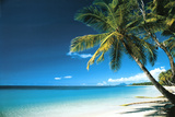 Beach Morning Art Print Poster