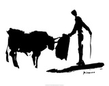 Bullfight II Matador