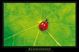 Ladybug (Achievement) Art Poster Print
