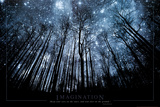 Imagination Keep Your Eyes on the Stars and Your Feet on the Ground