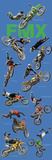 Buy Freestyle Motocross (Riders in Air, FMX) Sports Poster Print at AllPosters.com