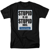 Forrest Gump - Stupid Is