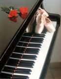 Ballet Shoes (On Piano) Art Poster Print