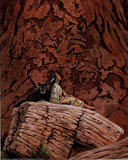 Native American Wolf Rock INDIAN Art Print POSTER GUIDE