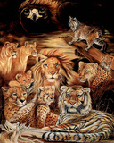 Wild Cat (Montage) Art Print Poster