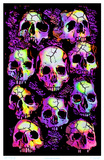 Buy Wall of Skulls Blacklight Art Poster Print at AllPosters.com