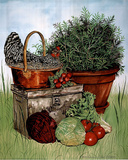 Chicken and Vegetables Art Print Poster