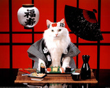 Buy Sushi Cat (Japanese) Photo Print Poster at AllPosters.com