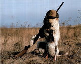 Alan and Sandy Carey Dog Gone Hunting Art Print POSTER