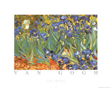 Buy Vincent Van Gogh Les Irises Art Print Poster at AllPosters.com