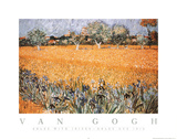 Vincent Van Gogh Arles with Irises Art Print Poster