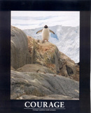 Courage (Penguin) Art Poster Print