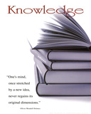 Knowledge (Books, Oliver Wendell Holmes Quote) Art Poster Print