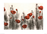 Hans Andkjaer Red Poppies Art Print Poster
