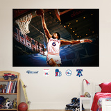 Julius Erving Mural