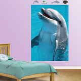 Dolphin Mural