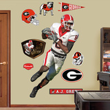 A.J. Green Georgia  