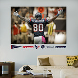 Andre Johnson Celebration Mural