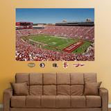 Florida State Stadium Mural