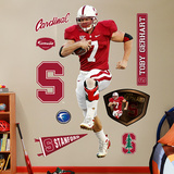 Toby Gerhart Stanford