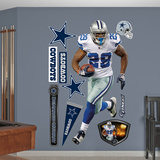 DeMarco Murray 2011