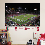 Stanford Stadium Mural