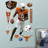 Vince Young Texas Longhorns