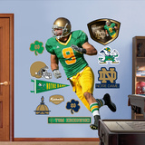 Tom Zbikowski Notre Dame