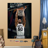 David Robinson Mural