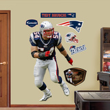 Tedy Bruschi  