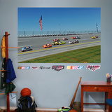 Buy Talladega Superspeedway Mural at AllPosters.com