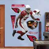 Patrick Peterson 2011