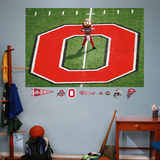 Ohio State Brutus Mural