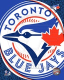 Toronto Blue Jays 2012 Team Logo
