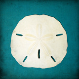 Buy Sand Dollar II at AllPosters.com