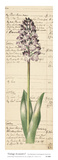 Buy Vintage Accounts I at AllPosters.com
