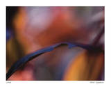 Autumn No 8