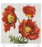 Buy Poppies on Silk at AllPosters.com
