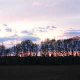 Buy Winter Sunset Square I at AllPosters.com