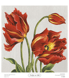 Buy Tulips on Silk at AllPosters.com