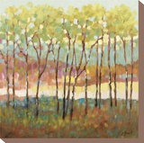 Distant Color