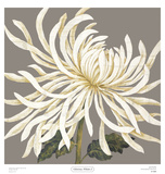 Buy Glorious Whites I at AllPosters.com