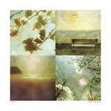 Buy Coastal Scenes 1 at AllPosters.com