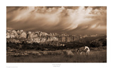 On the Utah Plains