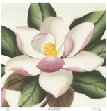 Buy Signs of Spring II at AllPosters.com