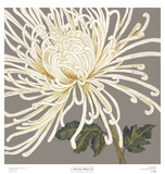 Buy Glorious Whites II at AllPosters.com