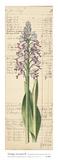 Buy Vintage Accounts II at AllPosters.com