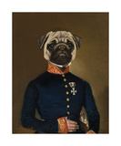 Pug Arrives